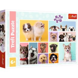 Puzzle - 160 - Psia Przyjaźń - Trefl 15412