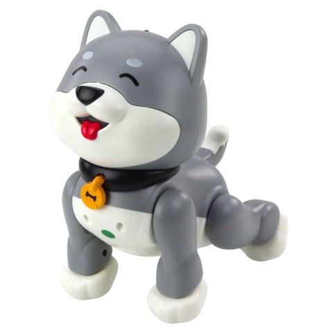 Interaktywny Robot Pies Husky Zdalnie Sterowany RC Głosem Sztuczki Szary