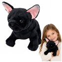 Pluszowa Maskotka Przytulanka Piesek Buldog Francuski Czarny 22 cm
