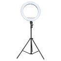Lampa pierścieniowa LED RGB ring do selfie filmów ze statywem i pilotem 45cm