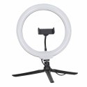 Lampa pierścieniowa do selfie LED RGB na statywie