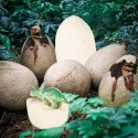Dinozaury wykopaliska jajka dinozaura figurki zestaw archeologiczny 12 jajek