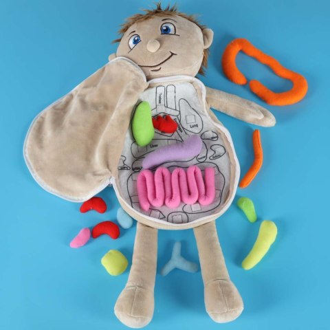Lalka maskotka zabawka edukacyjna nauka anatomii chłopiec