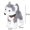 Piesek interaktywny na smyczy szczeka chodzi rusza ogonem Husky