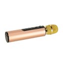 Mikrofon bezprzewodowy karaoke dla dzieci głośnik Bluetooth 2000mAh karta SD USB wysoka jakość złoty