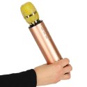 Mikrofon bezprzewodowy karaoke dla dzieci głośnik Bluetooth 2000mAh karta SD USB wysoka jakość złoty