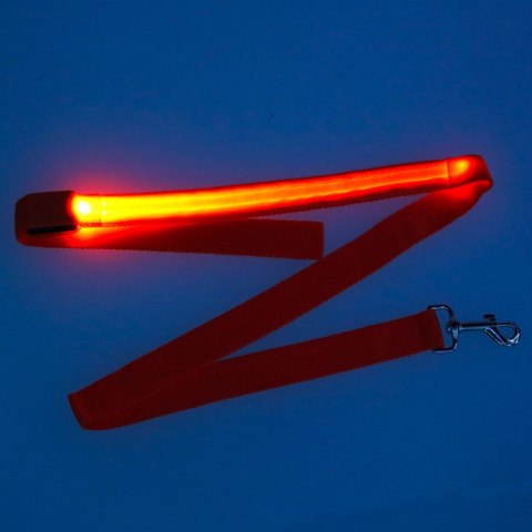 Smycz dla psa kota świecąca spacer jesień zima noc LED 1,2 m pomarańczowa