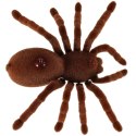 Pająk TARANTULA Zdalnie Sterowany robot + PILOT