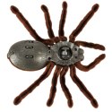 Pająk TARANTULA Zdalnie Sterowany robot + PILOT