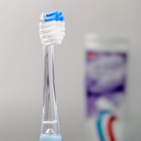 Soniczna szczoteczka do zębów SD50R