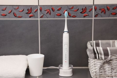 Soniczna szczoteczka do zębów Eldom SD210B DENTA