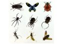 Zestaw Kreatywny Prehistoria Stwórz Bursztyn Owady